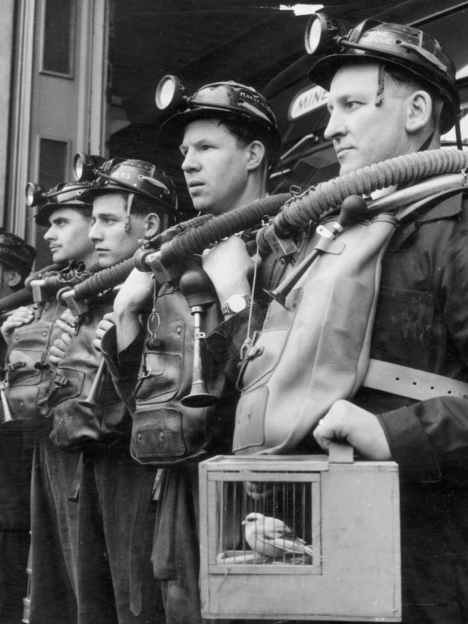 a crowd of miners facing left . The nearest holds a canary in a square cage