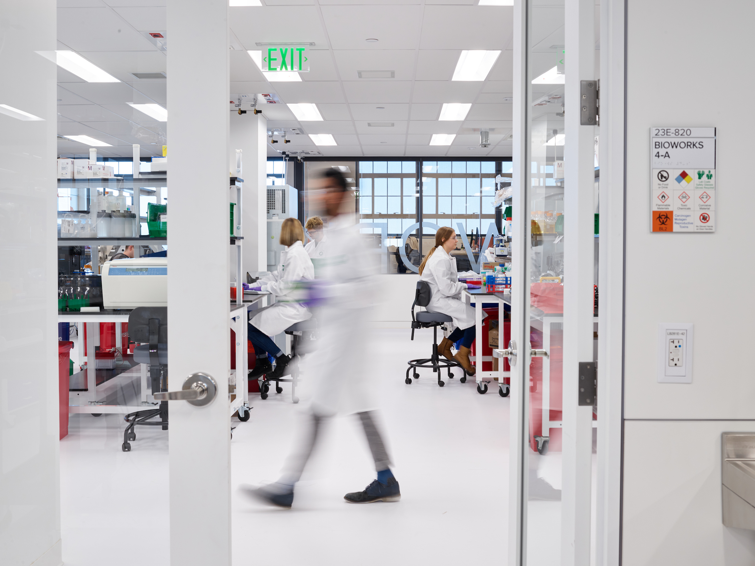 photograph showing a lab at Gingko Bioworks