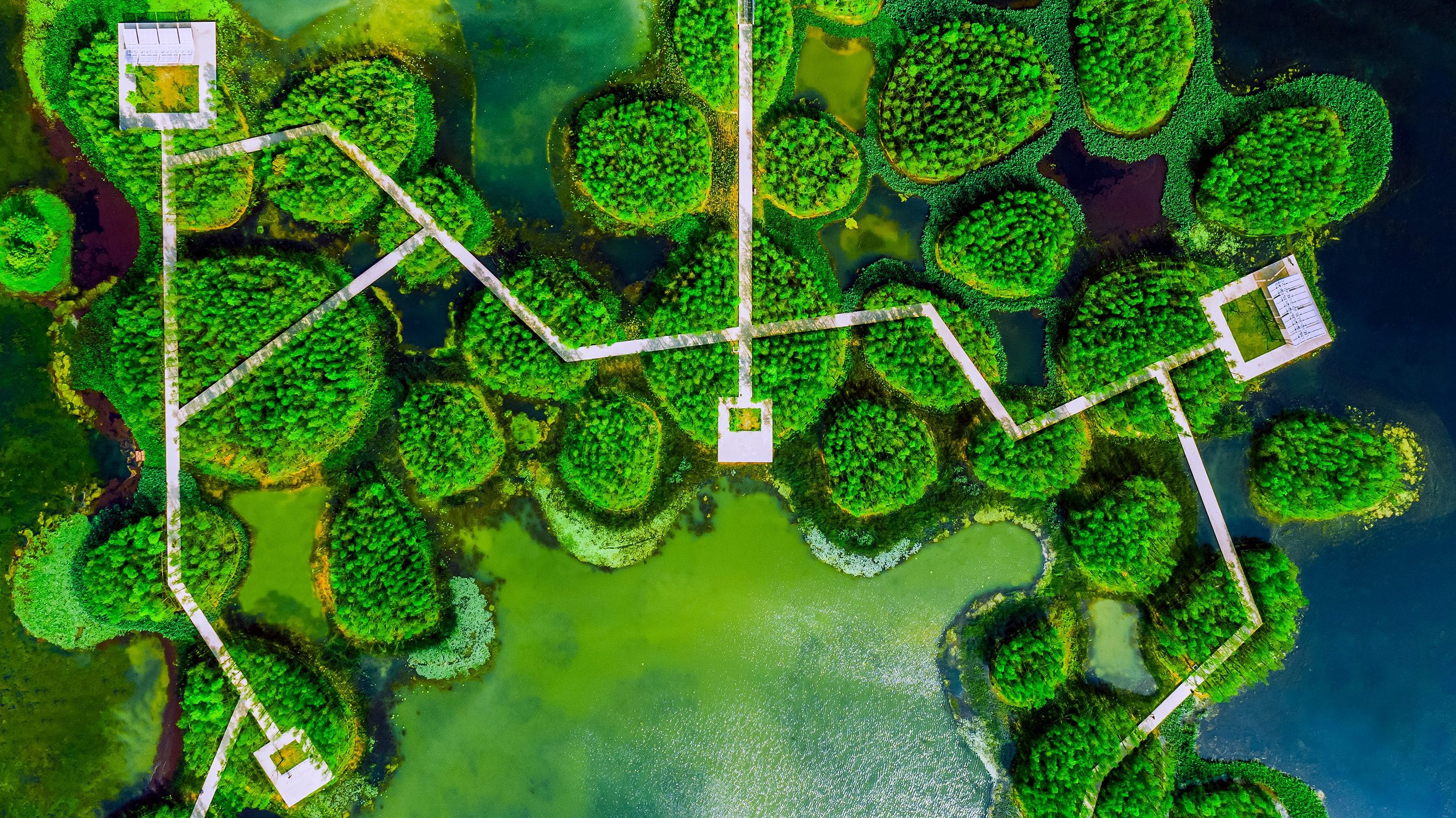 Nanchang Yuweizhou Wetland Park