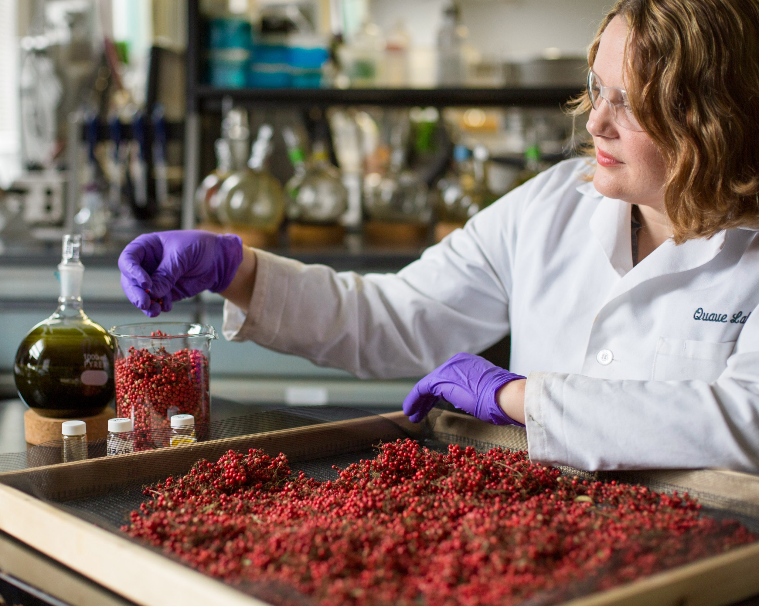 Cassandra Quave with samples in the lab